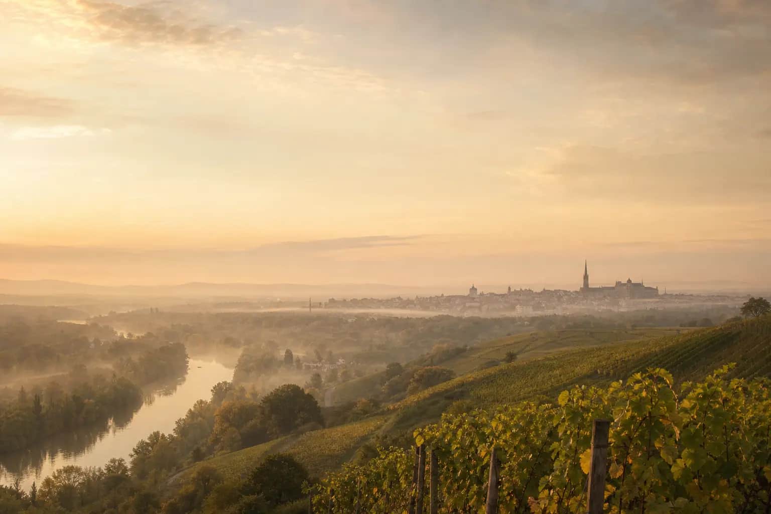 Stimmungsvoller Blick über das Neckartal und die Region Ludwigsburg im Morgenlicht – Pieta Bestattungen ist im gesamten Landkreis für Sie da