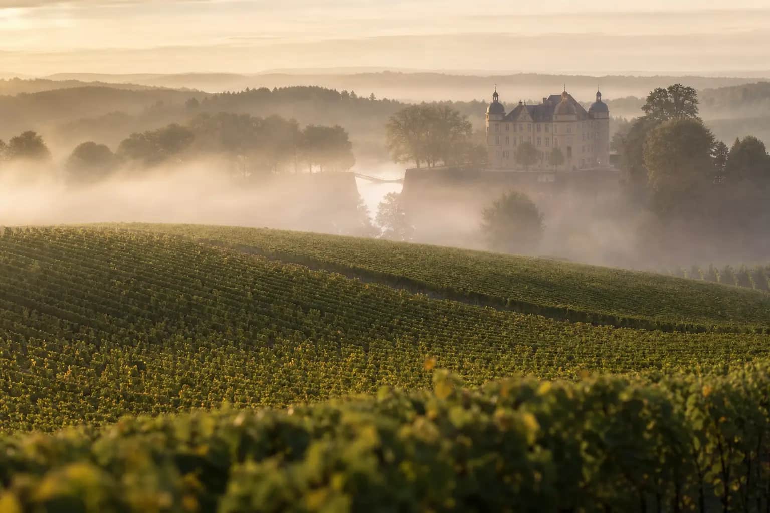 Stimmungsvoller Blick auf die Region Sachsenheim – Pieta Bestattungen ist hier für Sie da