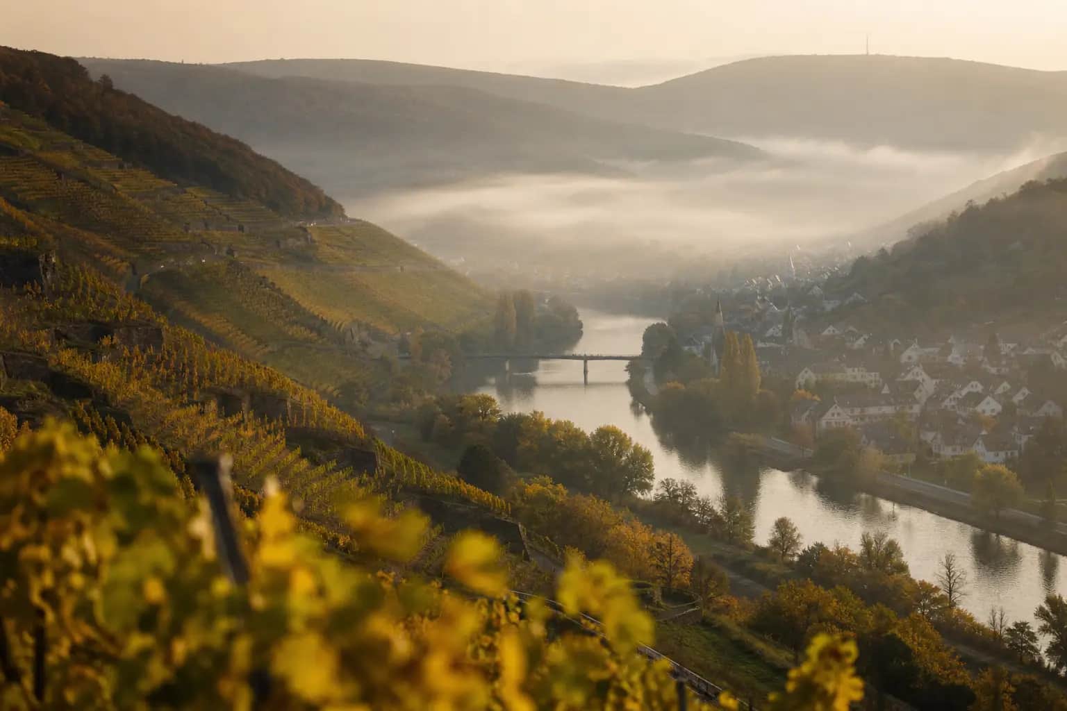 Stimmungsvoller Blick auf die Region Freiberg am Neckar – Pieta Bestattungen ist hier für Sie da